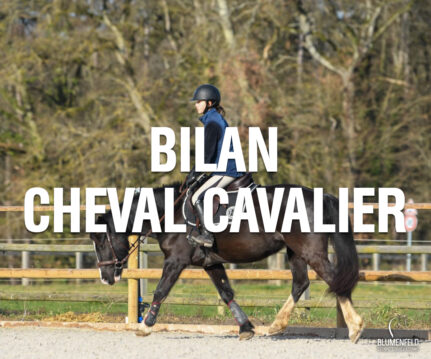 Bilan Cheval Cavalier