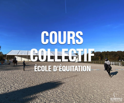 Cours Collectif - Ecole Equitation - Blumenfeld Ecurie