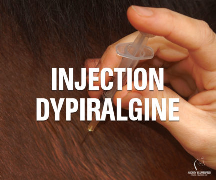 Injection Dypiralgine