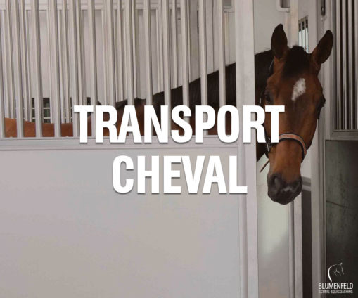 Transport Cheval - Ecurie Blumenfeld