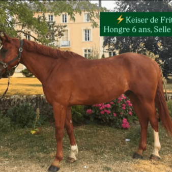 KEISER DE FRITOT