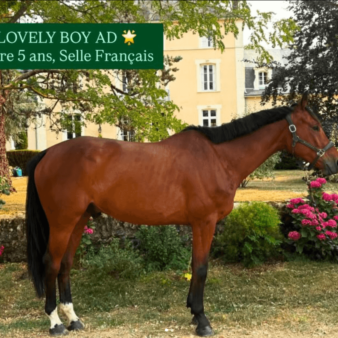 Lovely boy AD