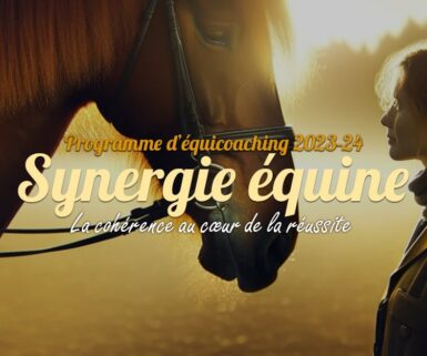 Synergie équine - Un Programme D'équicoaching Dédié Aux Cavalier.e.s