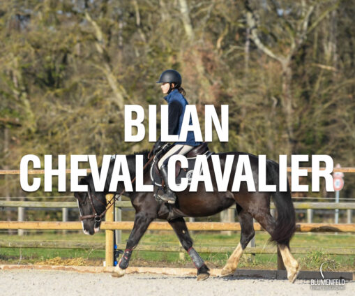 Bilan Cheval/Cavalier - Ecurie Blumenfeld