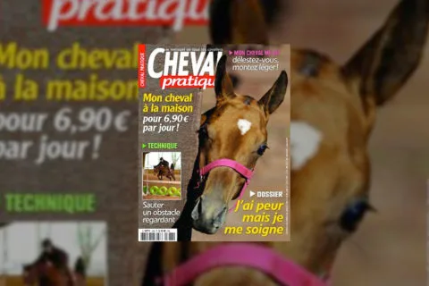 CHEVAL PRATTIQUE - Avril 2018
