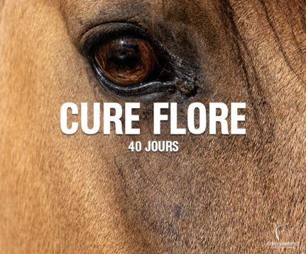 Cure Flore 40 Jours