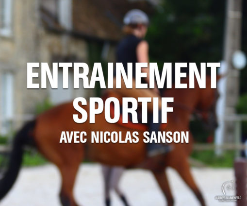 Stage Entrainement Sportif CSO avec Nicolas Sanson