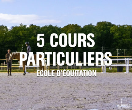 Forfait 5 Cours Particuliers