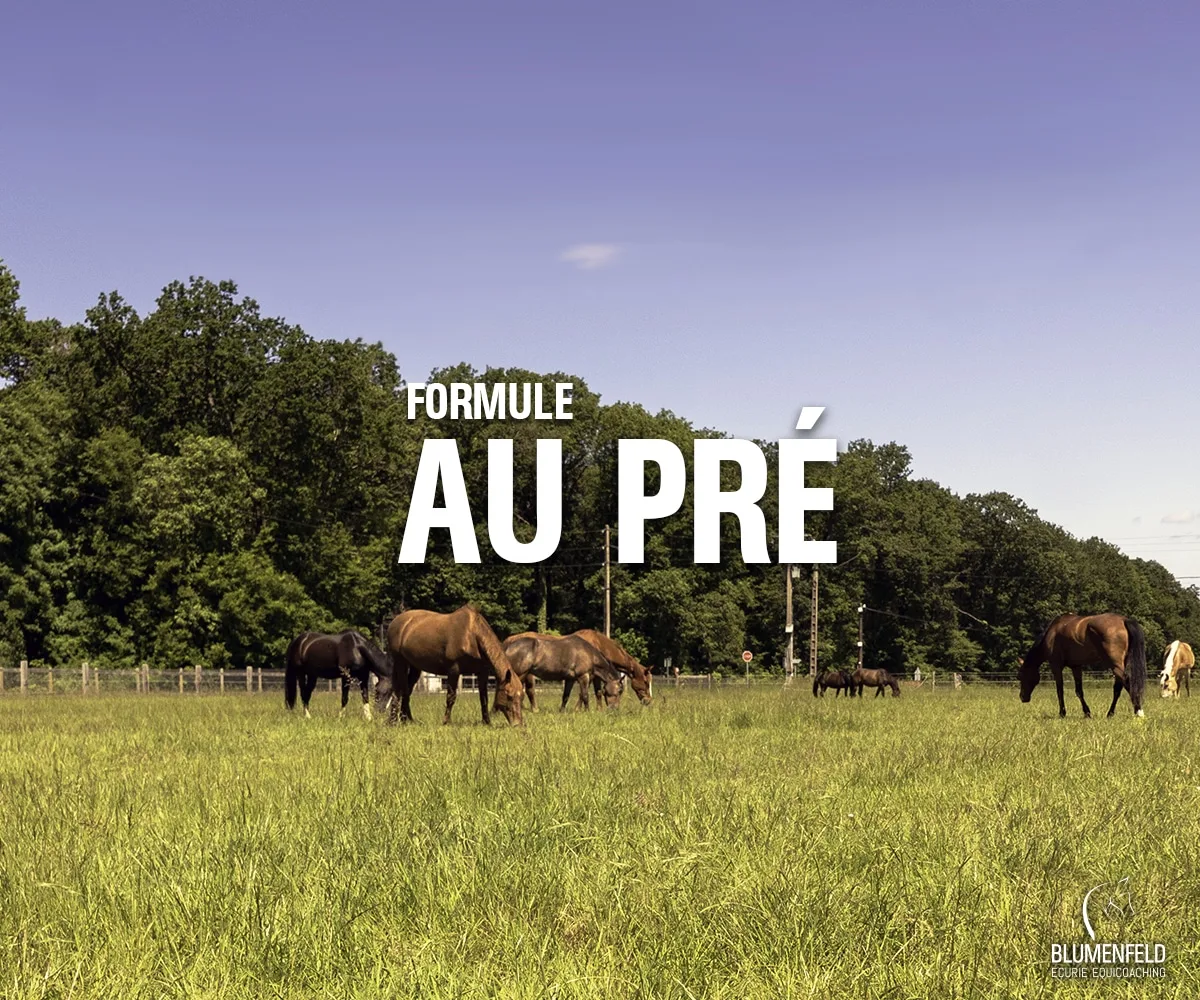 Formule au pré