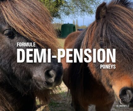Formule Demi-Pension Poneys