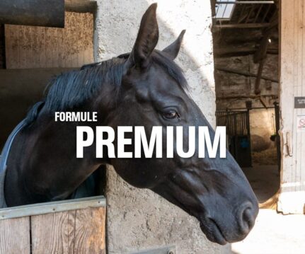 Formule Premium