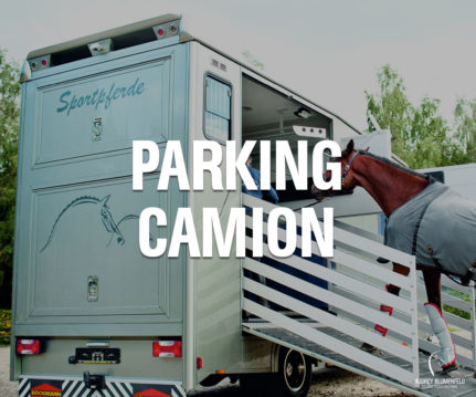 Parking Camion