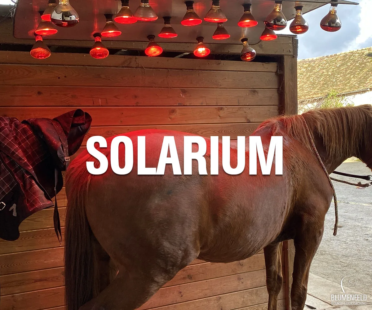 Solarium Cheval - Ecurie Blumenfeld