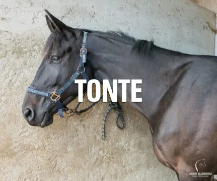 Tonte