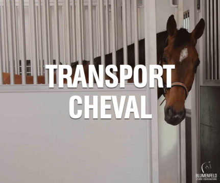 Transport Cheval
